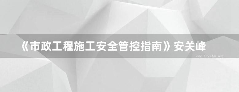 《市政工程施工安全管控指南》安关峰 2019版